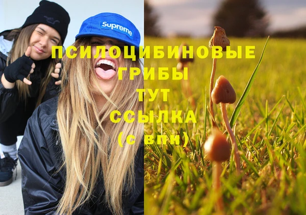 спиды Арсеньев