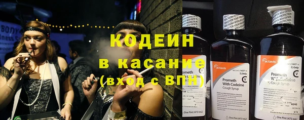 спиды Арсеньев