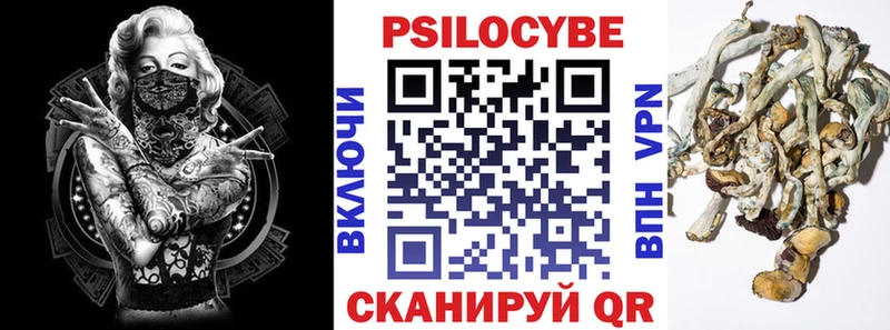 купить наркотики цена  Макарьев  Галлюциногенные грибы MAGIC MUSHROOMS 